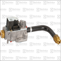 490472501 GAS VALVE 